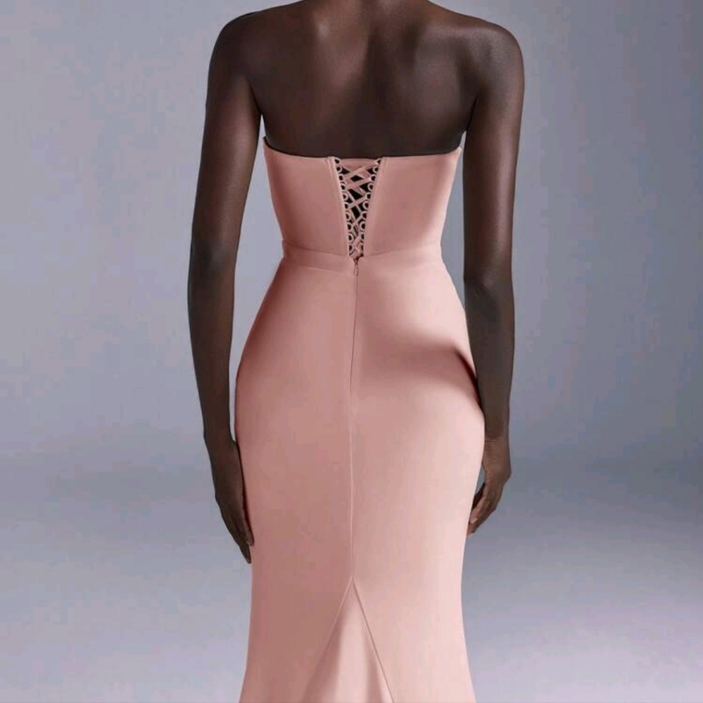 Elegant Lace Applique Slit Formfitting Maxi Dress With Extravagant Fish Tail Hem - Picture 3 of 4
